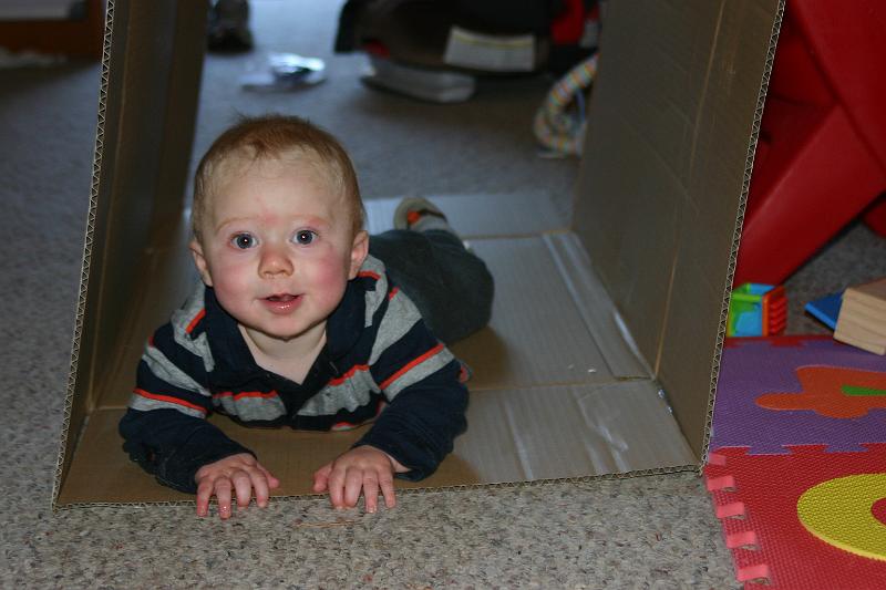 Picture 210.jpg